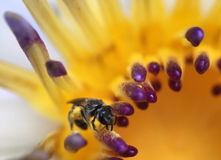 Der positive Einfluss auf die Umwelt & Fallstudien: Erfolgreiche Umstellung auf papierlose Büro